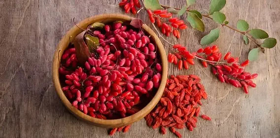 Berberine